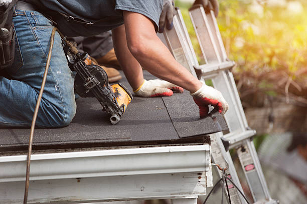 Professional Roofing Contractor in St Augusta, MN